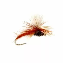 Fulling Mill Klinkhammer Brown