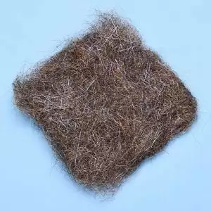 Enrico Puglisi EP MAYFLY DUB Materials