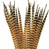 Wapsi RINGNECK TAIL FEATHERS - 1 PAIR