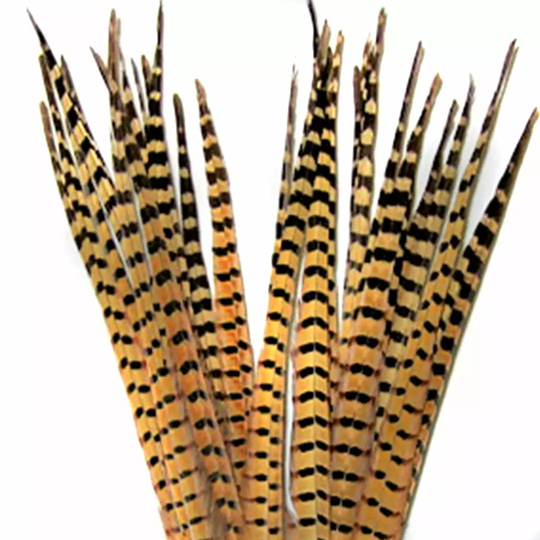 Wapsi RINGNECK TAIL FEATHERS - 1 PAIR