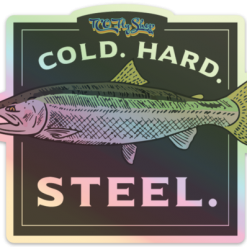 Darn Tough Womens Hiker Boot Midweight With Cushion