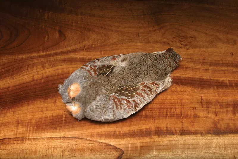 Hareline Materials Hungarian Partridge Skin #1