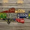 Cody Richardson Art - Michigan Smallmouth Bass License Plate Art Gifts