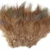 Wapsi Materials RINGNECK RUMP HACKLE