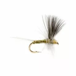 Fulling Mill Blue Winged Olive Thorax Flies