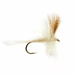 Fulling Mill Light Cahill