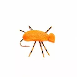 Fulling Mill Flies Indicator Beetle