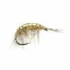 Fulling Mill Freshwater Shrimp (OE) Barbless