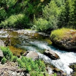 Stackpole Dry Fly Strategies - Paul Weamer