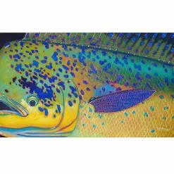 DeYoung Print - Mahi Mahi