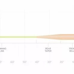 Fly Lines SCIENTIFIC ANGLERS AMPLITUDE SMOOTH - GRAND SLAM TAPER