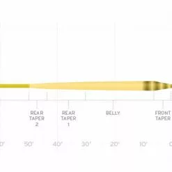 Fly Lines SCIENTIFIC ANGLERS AMPLITUDE SMOOTH - INFINITY TAPER