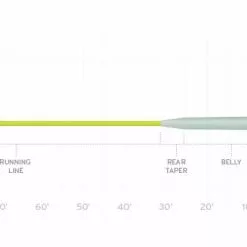 Fly Lines SCIENTIFIC ANGLERS AMPLITUDE SMOOTH REDFISH WARM