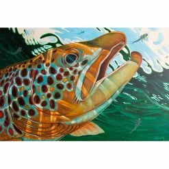 DeYoung Print - Brown Callibaetis