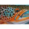 Gifts DeYoung Print - Brown Pheasant Tail