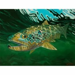 DeYoung Print - Brown Cruising Gifts