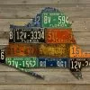 Cody Richardson Art - Florida Sailfish License Plate Art