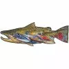 DeYoung Decal-Fab Four Trout