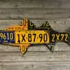 Cody Richardson Art - New York Striped Bass License Plate Art