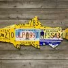 Cody Richardson Art - Alaska Chinook Salmon License Plate Art