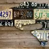 Cody Richardson Art - Texas Largemouth Bass License Plate Art