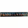 Fly Fishing Stickers DeYoung Decal-State Flank Pennsylvania