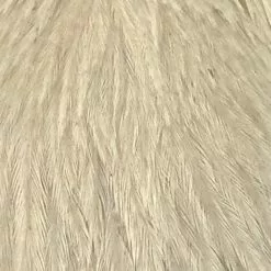 Materials Whiting American Hen Cape