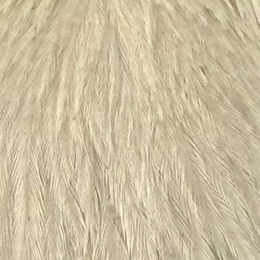 Materials Whiting American Hen Cape