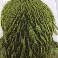 Whiting Brahma Hen SH/C Materials