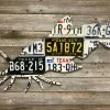 Gifts Cody Richardson Art - Texas Catfish License Plate Art