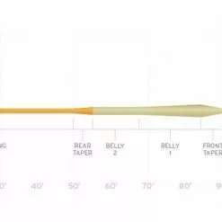 Fly Lines SCIENTIFIC ANGLERS MASTERY - MPX TAPER