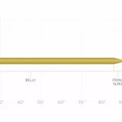Fly Lines SCIENTIFIC ANGLERS MASTERY - DOUBLE TAPER