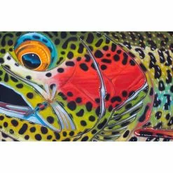 DeYoung Print - Abstract Rainbow - Royal Wulff