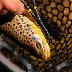 Loon Outdoors Loon Rogue Hook Removal Forceps Accessories