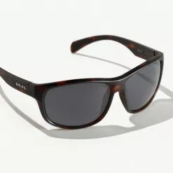 Sun Glasses Bajio Scuch Sunglasses