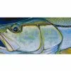 DeYoung Print - Snook