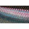 DeYoung Print - Tarpon Flank