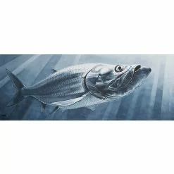 DeYoung Print - Tarpon Indigo