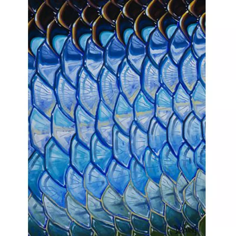 DeYoung Print - Tarpon Flank Blue Gifts