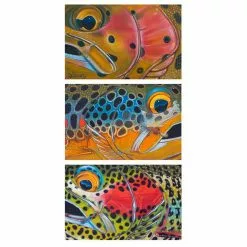 DeYoung Print - Trout Trio - Bow Brown Brook W Flies 2
