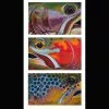 DeYoung Print - Trout Trio -Brown Brook Bow
