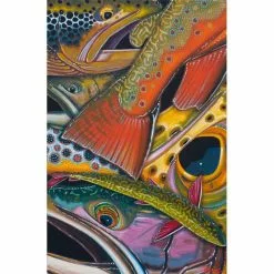 DeYoung Print - Trout Confetti 6 Gifts