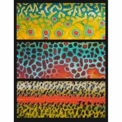 DeYoung Print - Trout Trio Flank Gifts
