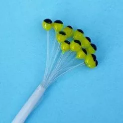 Enrico Puglisi EP UV-X CRUSTACEAN EYES