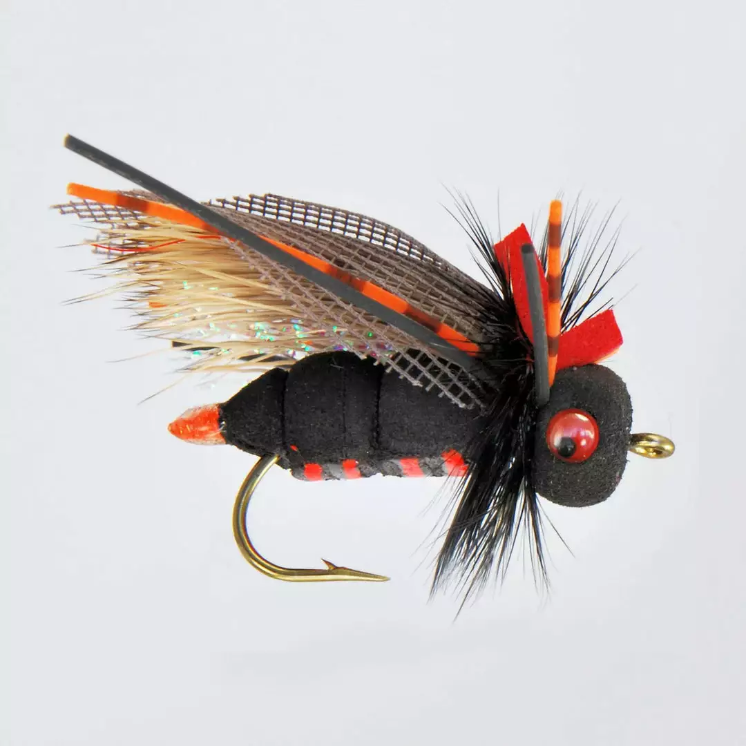 Rainy's Flies Rainy's Black/Orange Ultimate Cicada