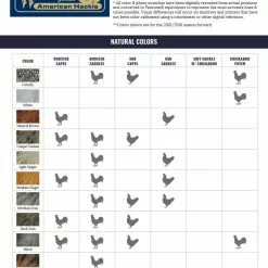 Materials Whiting American Hen Cape