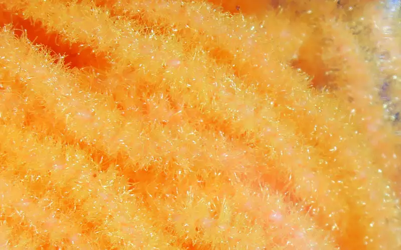 Hareline Trilobal Antron Chenille Medium