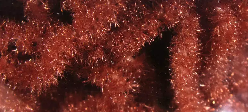 Hareline Trilobal Antron Chenille Medium