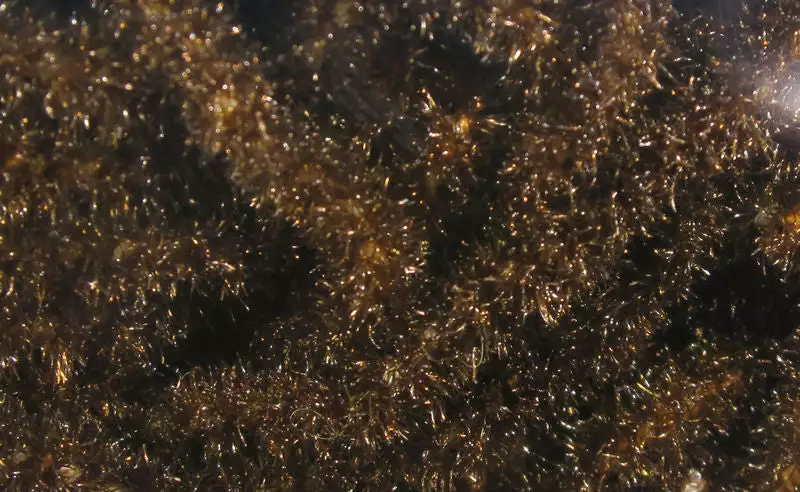 Hareline Trilobal Antron Chenille Medium