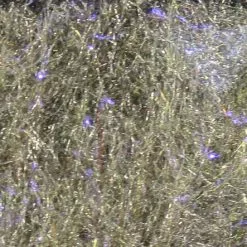 Hareline Fly Fish Food's Bruiser Blend Dubbing Materials